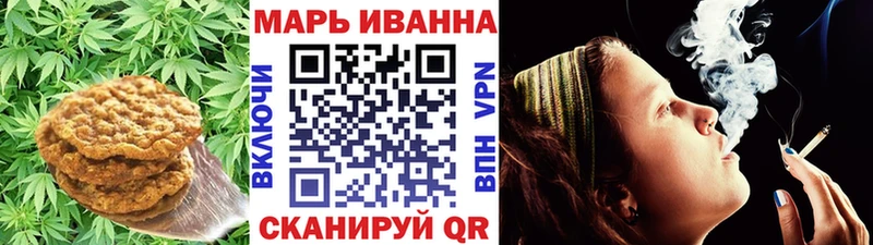 Canna-Cookies конопля где можно купить Новочеркасск